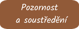 Pozornost a soustředění